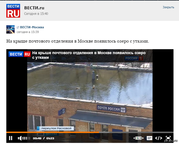 ����� ������ �� ��������� ��������