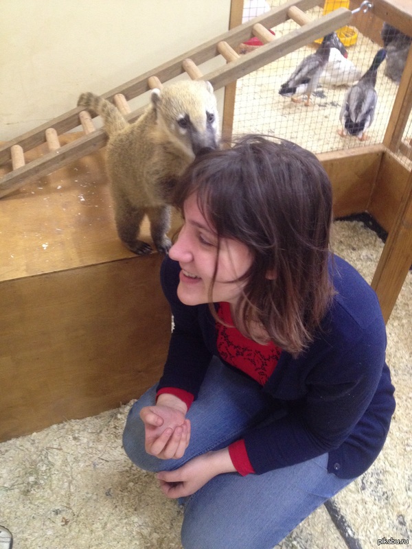 � ���� ������ ��� ������, � � � ���������� �������� � ����� ���������...