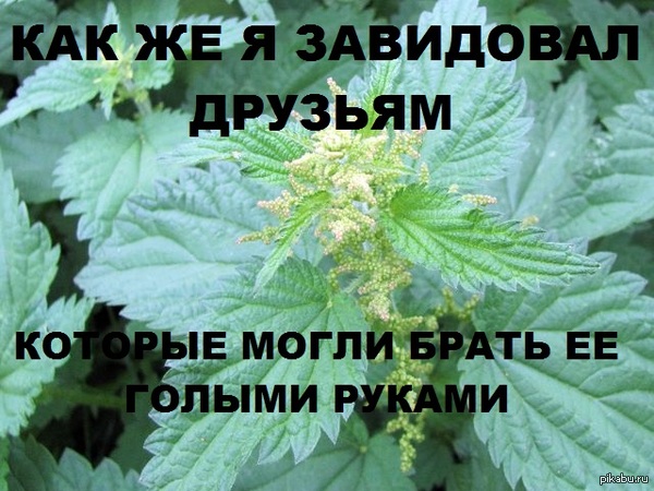             <a href="http://pikabu.ru/story/i_ya_tak_delal_3173713">http://pikabu.ru/story/_3173713</a>
