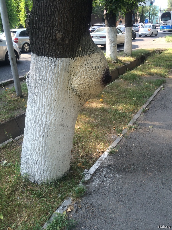 � ��� ��� ��������� ������ ���� ( � �����  )