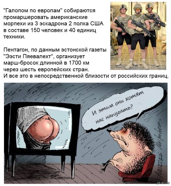 ������� ��� "���������" ������ �� ����� ����� ��