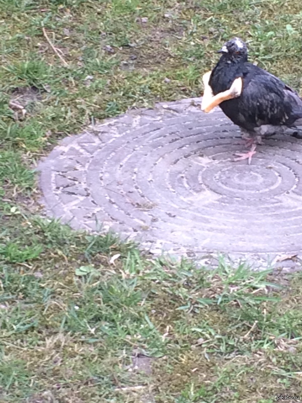 ��������� ���� ����