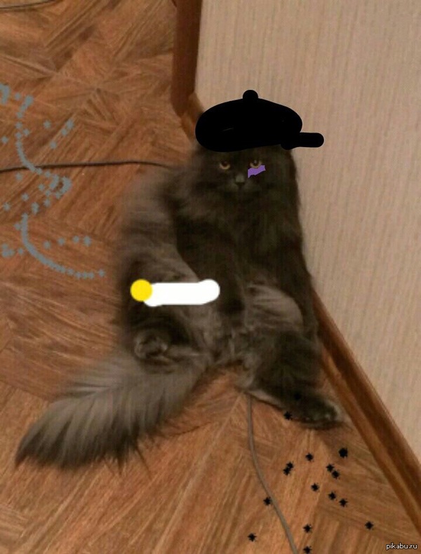 ����-������