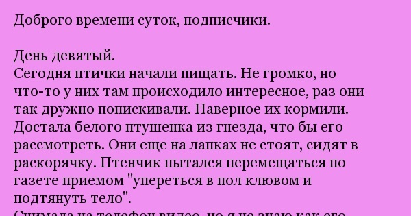 Птенцы. День 9. | Пикабу