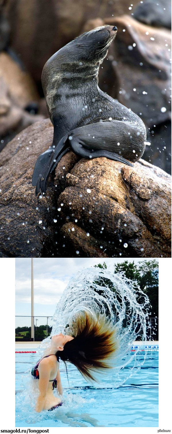 ������ ������������ �)