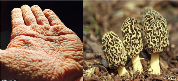 �������-����