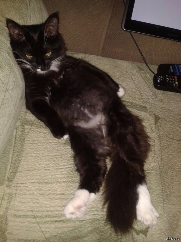 День рождения!