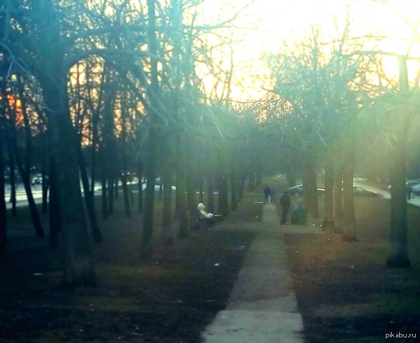 ��������.