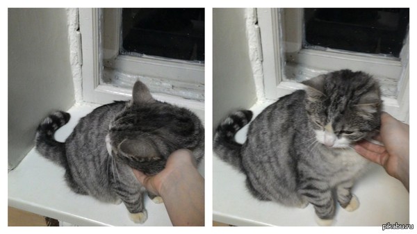 Самый беспечный житель нашей студенческой общаги