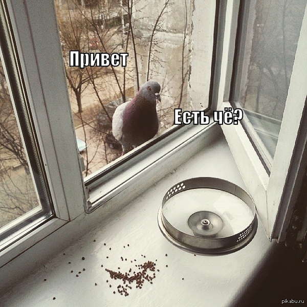 �������� �� ����