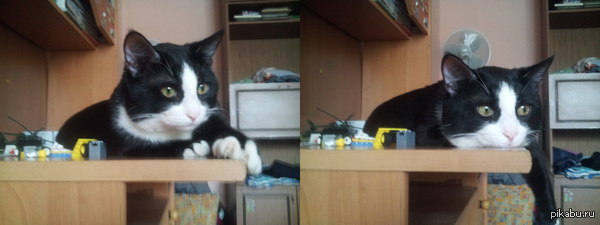 ��� �������))