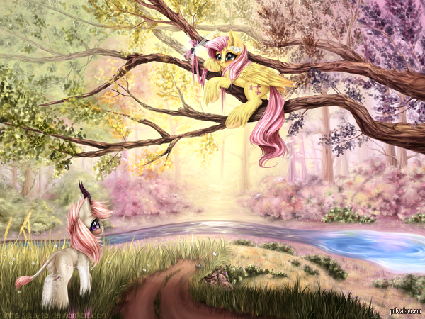 Fluttershy... 