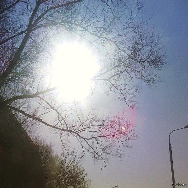 �������� ��������� �������� �������� ���...