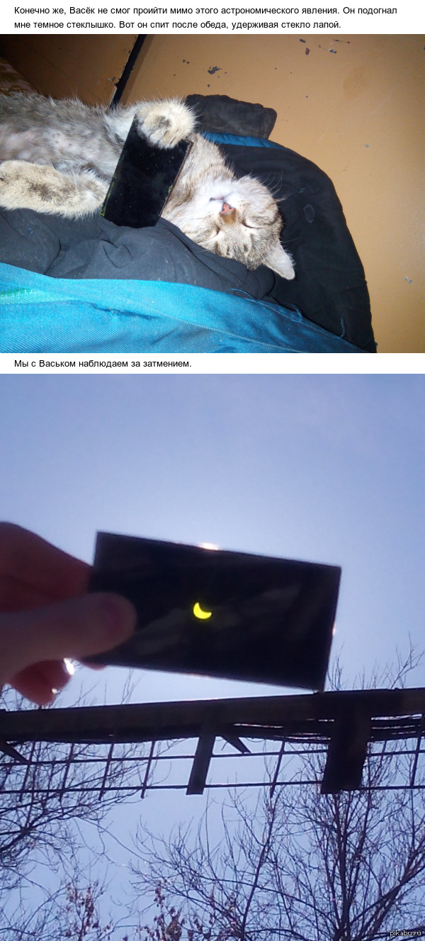 Васек и затмение.