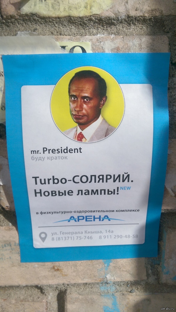 ������ ���������