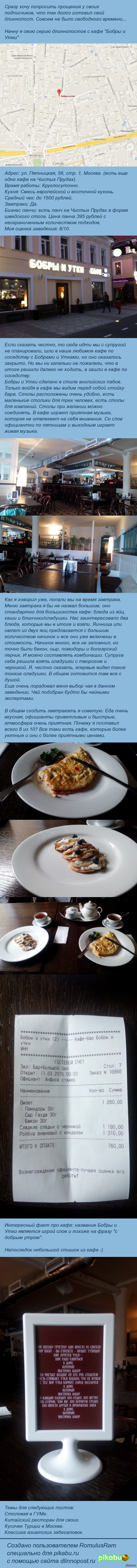 Пуззолини! Бобры и Утки!