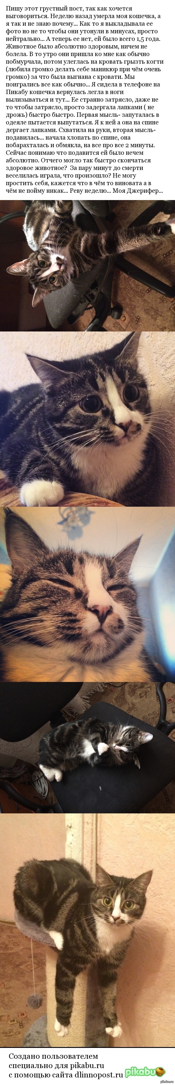 ������-������ ����(