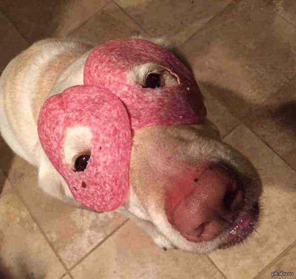 ����� ������ ����� ����� �����