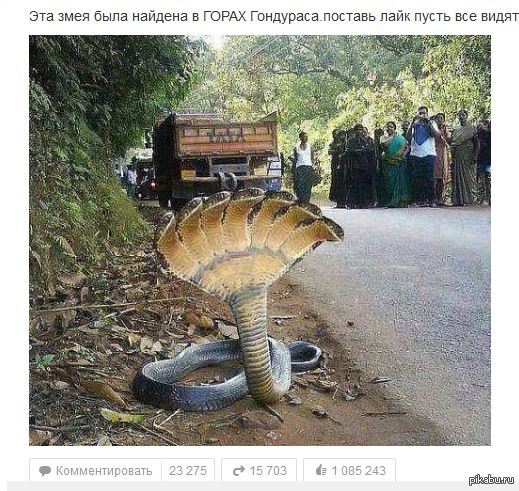 ������ ��� ������...