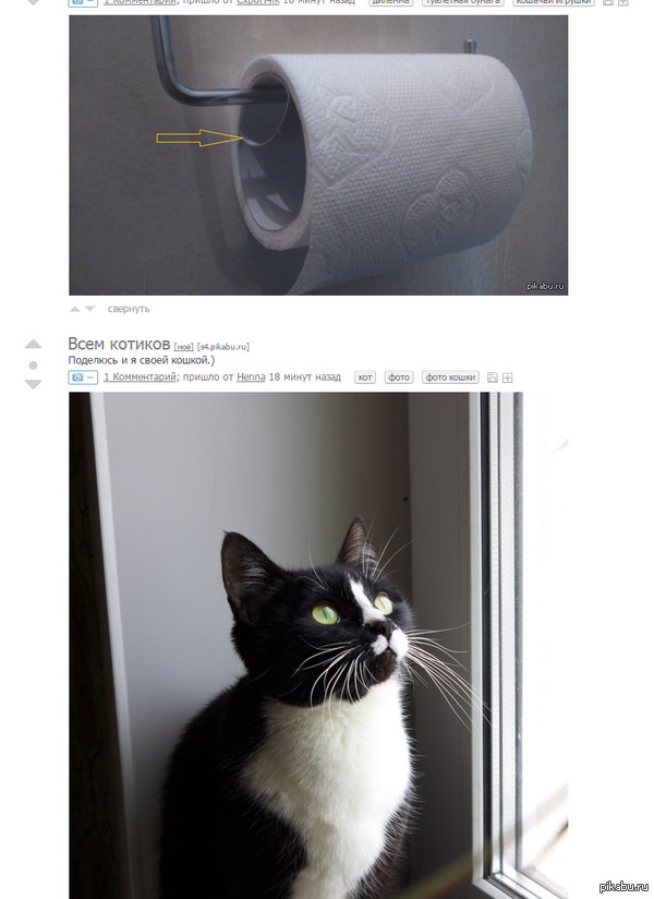 ����������? �� �����!