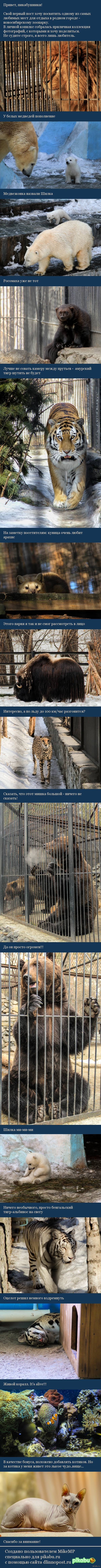 ��� �������� � �������� ��� ����� � ������������� �������