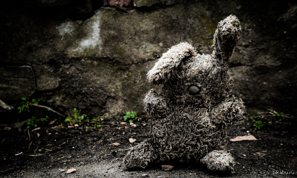 ����� ������ �������,