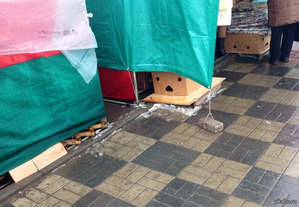 &amp;#128550;&amp;#128550;&amp;#128550;&amp;#128550;&amp;#128550;