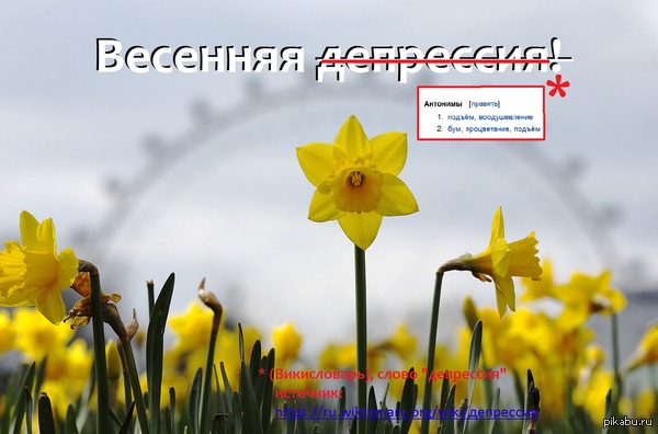 ,       ? ,  ,  , .,  (--,    ?)