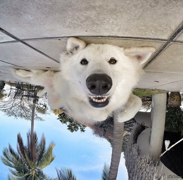   .   :)