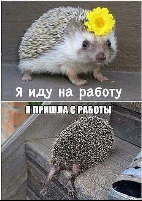 � ��� ������ ����