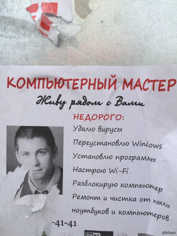 Работа мечты | Пикабу