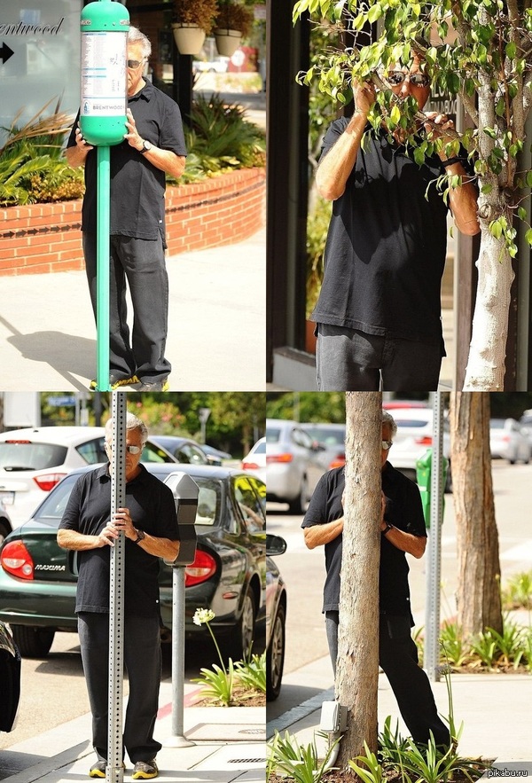 ������ ������� - ������ ����������