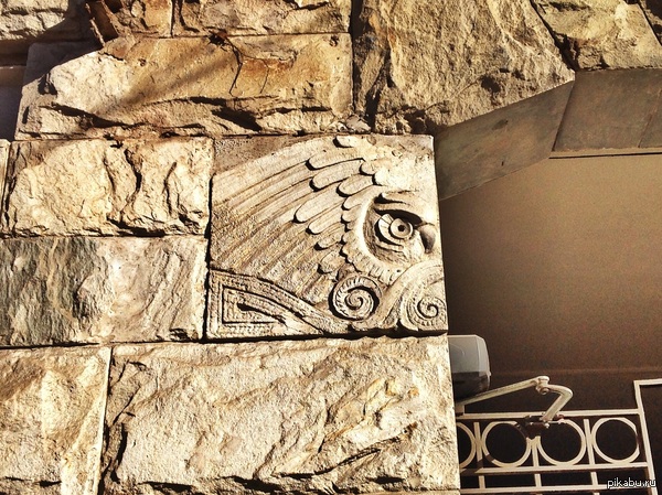 Совушка в Санкт-Петербурге