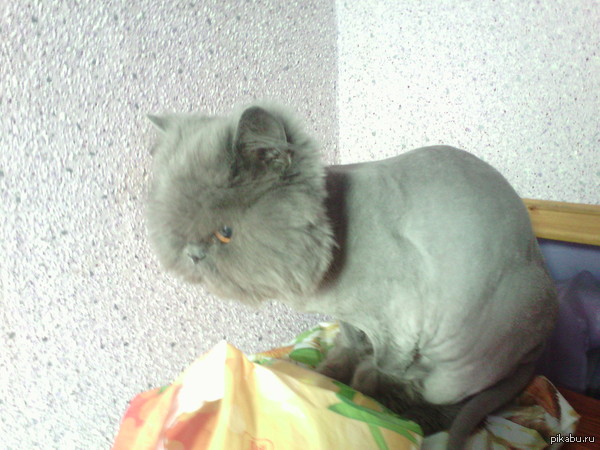 ���� � �����