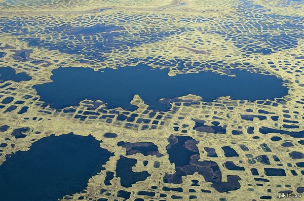 Дельта реки Лена. Якутия