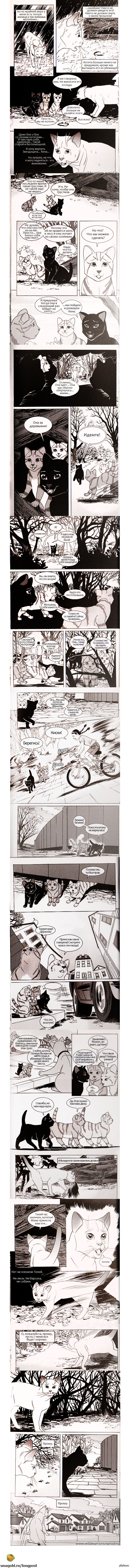 19-я часть Котов-Воителей