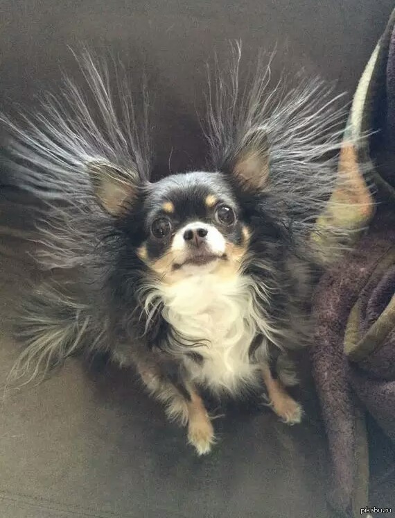 ��� ���� ���-�� �� ���?�