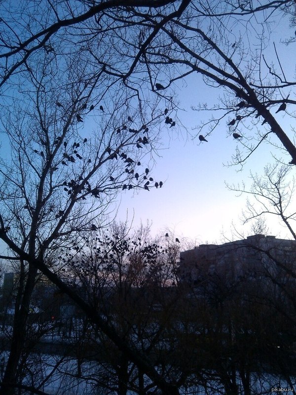 ���� �� �������