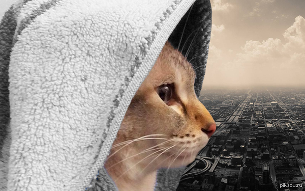 ������� �� ������ ������