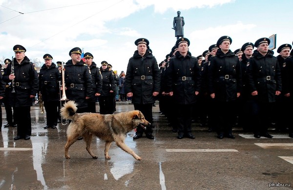 ����� ������!