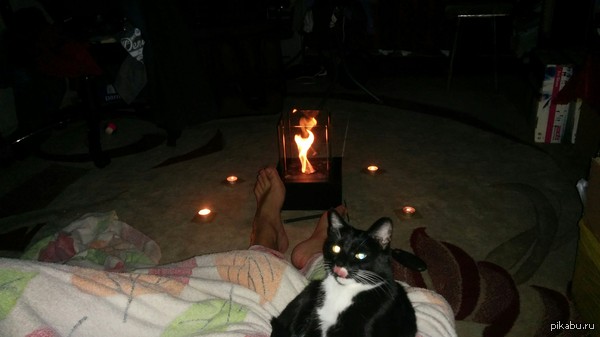 Earth Hour - My, My, cat, Candle, Fireplace