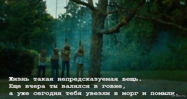 Жизнь - непредсказуемая штука.