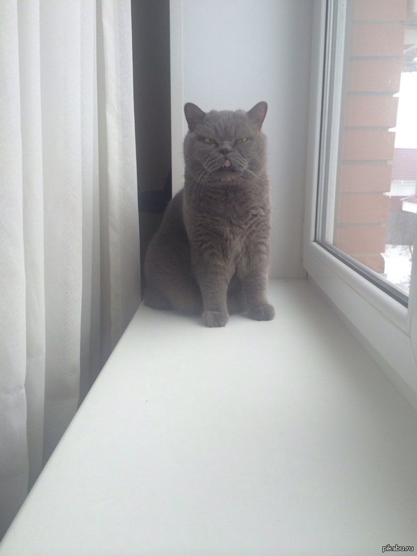 ���� ������ �� ������!