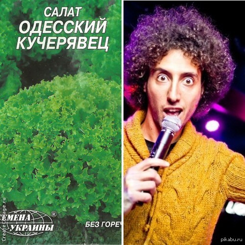 У всех возникают такие же ассоциации??