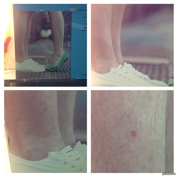 ,,        ,   .        ,