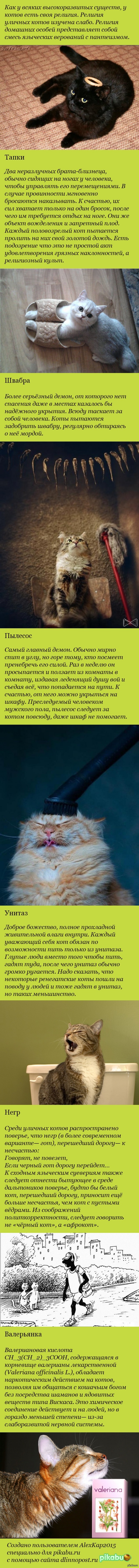 Котоведение