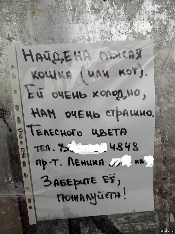 Забавное объявление на остановке