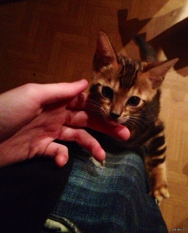 ��� ��������������� �����. ������� ���� ���� ��� ����� ��������.