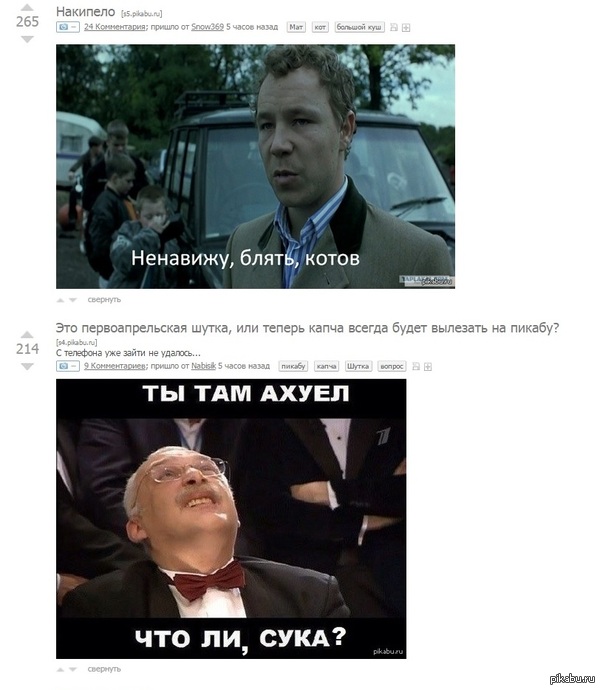 ����������? �� �����.