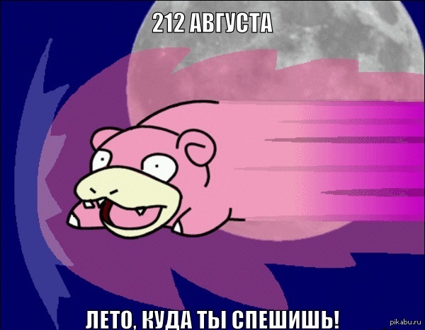 Август